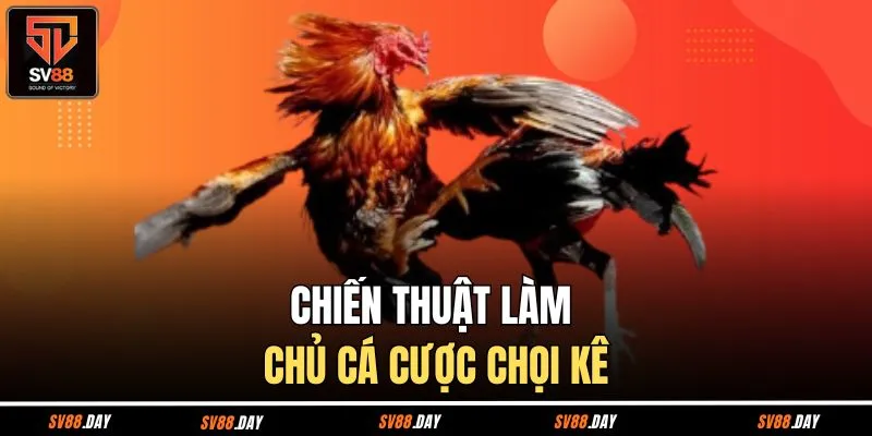 Chiến thuật làm chủ cá cược chọi kê